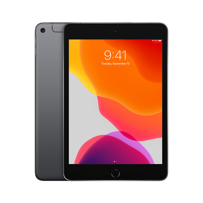 iPad Mini 5 (2019) Wi - Fi [Hot Deals] - CompAsia