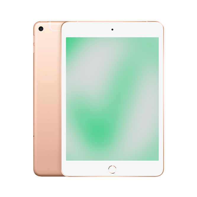 iPad Mini 5 (2019) Wi - Fi [Hot Deals] - CompAsia