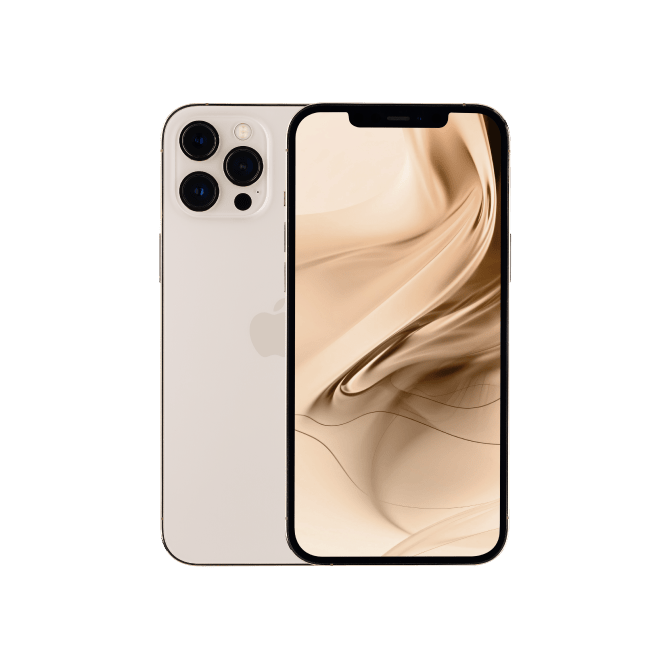 iPhone 12 Pro Max (Dual SIM)